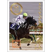 御駿印 2024年フェブラリーS【ペプチドナイル】
