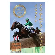 御駿印 2024年中山グランドジャンプ【イロゴトシ】