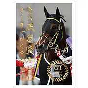 御駿印 2024年天皇賞（春）【テーオーロイヤル】