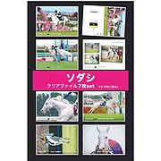 ソダシ引退記念クリアファイルセット（7枚組）