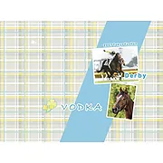 ブランケット【ウオッカ】