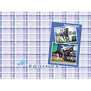 ブランケット【イクイノックス】