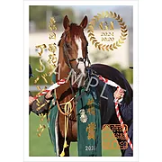 御駿印 2024年菊花賞【アーバンシック】
