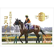 御駿印 2025年フェブラリーステークス【コスタノヴァ】