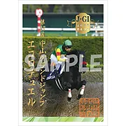 御駿印 2025年中山グランドジャンプ【エコロデュエル】