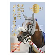御駿印 2025年宝塚記念【メイショウタバル】