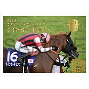 御駿印 2025年スプリンターズステークス【ウインカーネリアン】