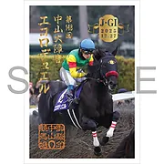 御駿印 2025年中山大障害【エコロデュエル】