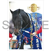 御駿印 2025年有馬記念【ミュージアムマイル】