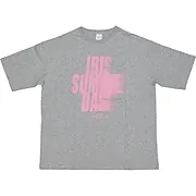 アイビスサマーダッシュロゴビッグTシャツ【グレー×ピンク】