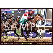 デジタルフォト【'25年度年度代表馬・最優秀4歳以上牡馬・最優秀ダートホース/フォーエバーヤング】