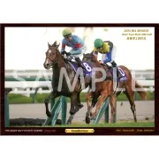 デジタルフォト【'25年度最優秀2歳牡馬/カヴァレリッツォ】