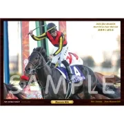 デジタルフォト【'25年度最優秀3歳牡馬/ミュージアムマイル】