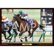 デジタルフォト【'25年度最優秀3歳牝馬/エンブロイダリー】