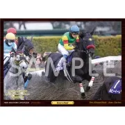 デジタルフォト【'25年度最優秀障害馬/エコロデュエル】