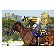 御駿印 2026年桜花賞【スターアニス】