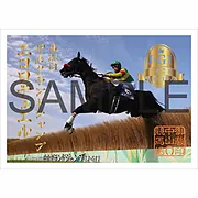 御駿印 2026年中山グランドジャンプ 【エコロデュエル】