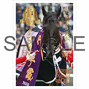 クロワデュノール | グッズ | 公式通販 | ターフィーショップオンライン