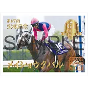 御駿印 2026年宝塚記念【メイショウタバル】