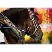 2027年ばんえい競馬カレンダー「命の軌跡」