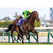 ターフィーショップオンライン | 受注品| 公式通販