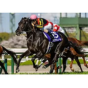クロワデュノール | グッズ | 公式通販 | ターフィーショップオンライン