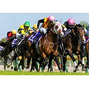 ロデオドライブ 2026年NHKマイルカップ ウォールデコパネル
