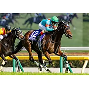 エンブロイダリー 2026年ヴィクトリアマイル ウォールデコパネル