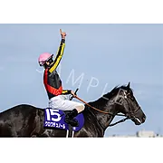 クロワデュノール | グッズ | 公式通販 | ターフィーショップオンライン