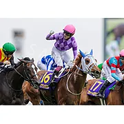 ターフィーショップオンライン | 競走馬一覧1/競走馬一覧2/ジュウ