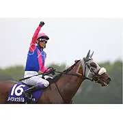 メイショウタバル | グッズ | 公式通販 | ターフィーショップオンライン