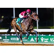 フォーエバーヤング 2026年サウジカップ【EX】 ウォールデコパネル